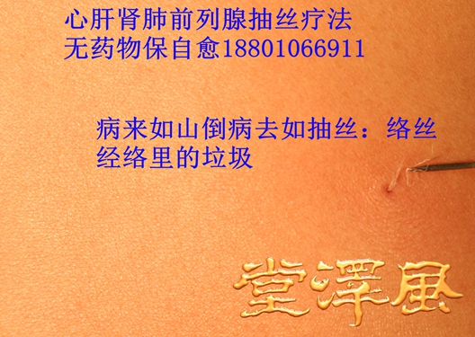 风泽堂IMG_2623-1_副本528_副本.jpg 风泽堂IMG_2623-1_副本528_副本.jpg